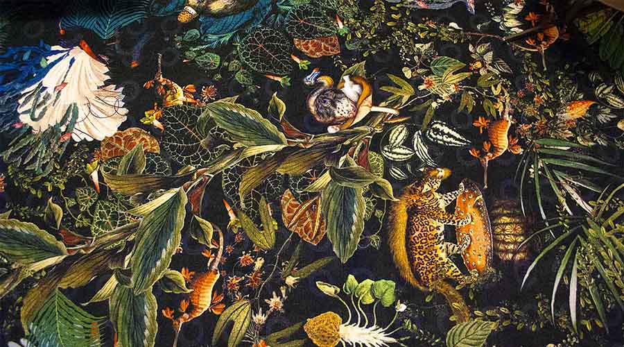 MOOOI Mengaerie of Extinct Animals