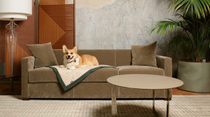 Poltrona Frau Pet collection | Home furnishings outlet