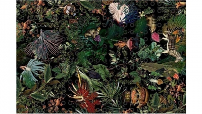 MOOOI MENAGERIE OF EXTINCT ANIMALS OUTLET PRICE