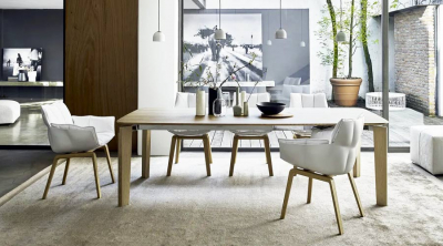 B&amp;B Italia Husk Prezzo Migliore Sedie Con Braccioli